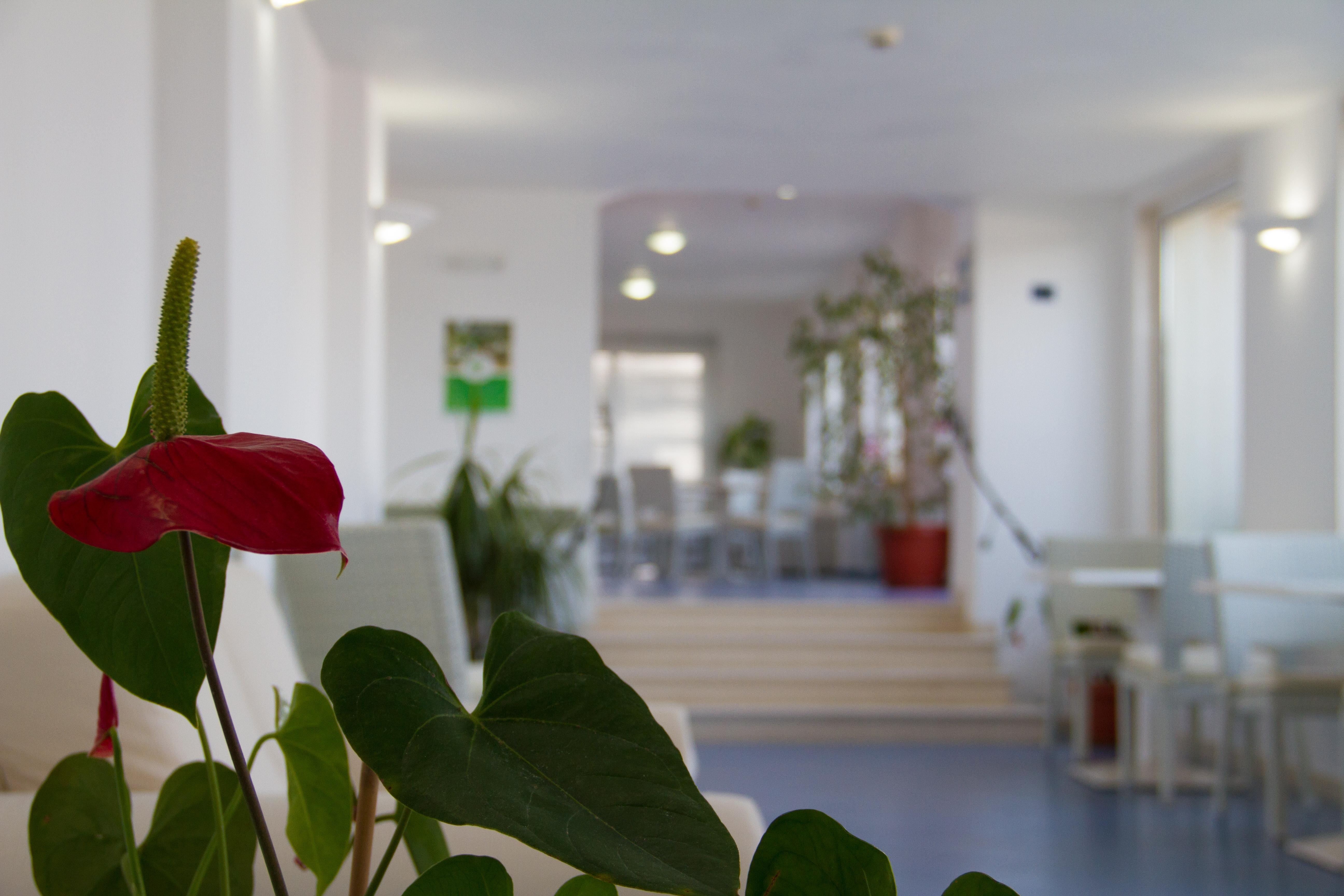 Hotel La Sorgente Savelletri Екстериор снимка